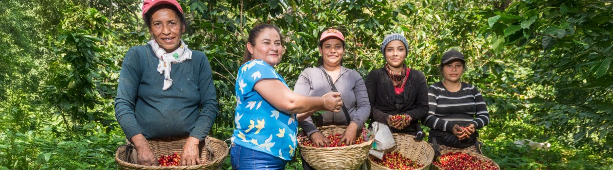 A Conscious Choice for a Better World