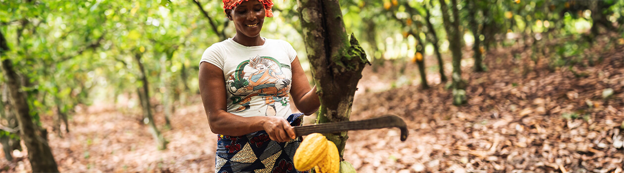 La certification Fairtrade