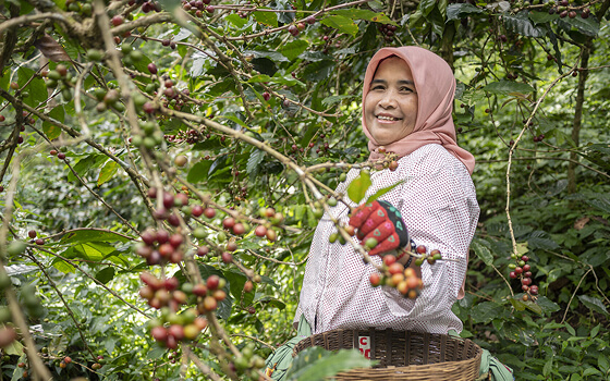 Produit est equitable